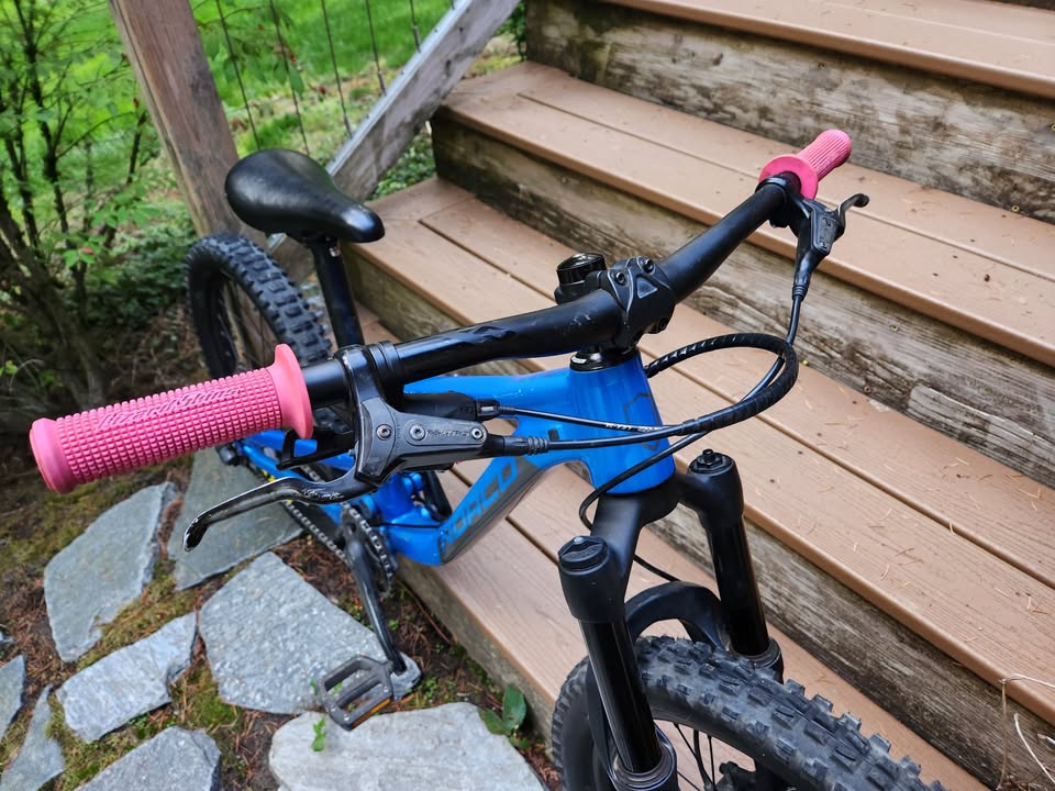 Norco Fluid FS 20"