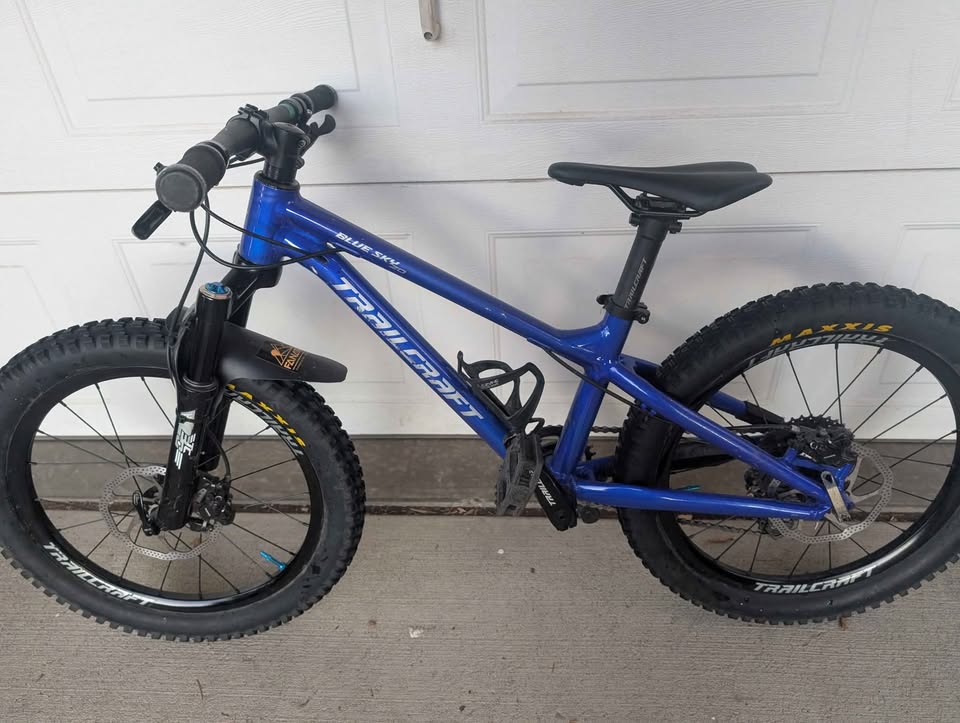 Trailcraft Blue Sky 20 Mountain bike