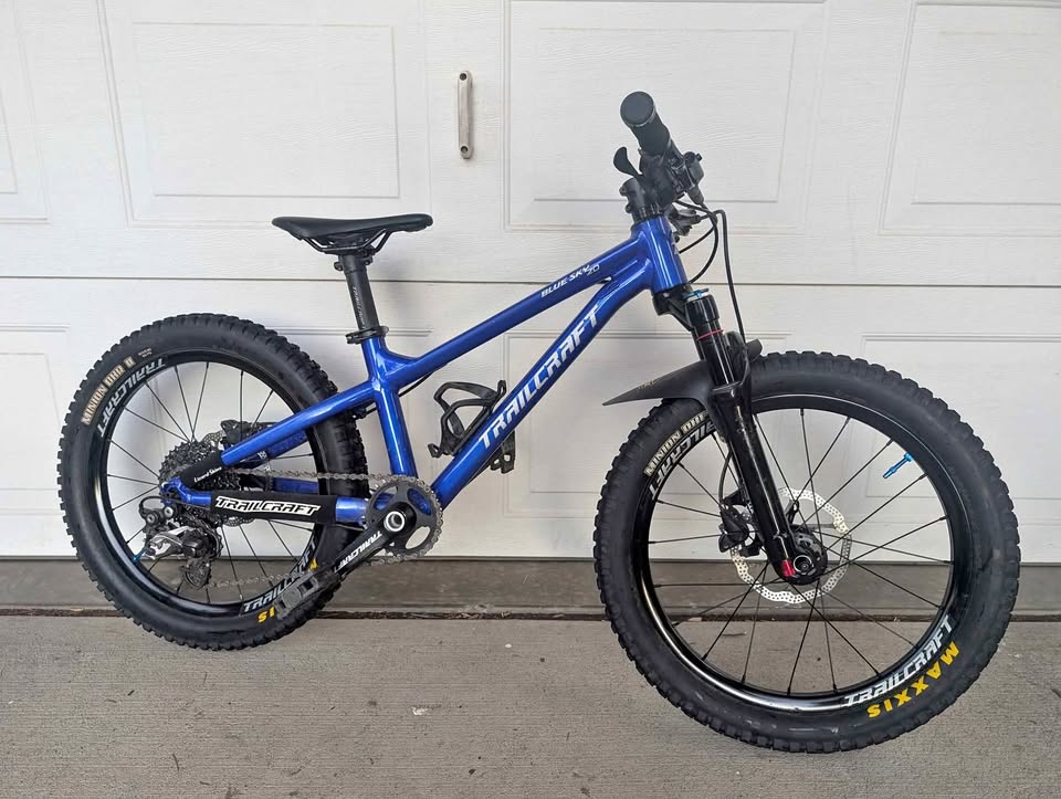 Trailcraft Blue Sky 20 Mountain bike